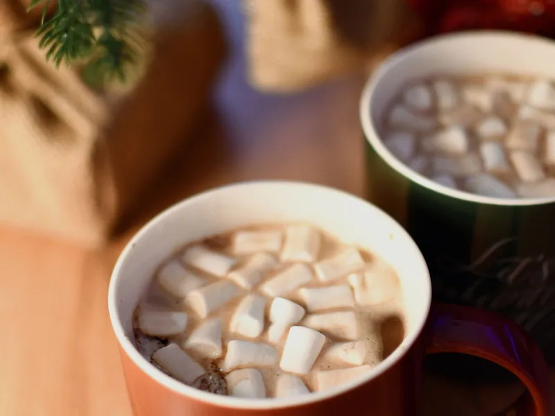 Zwei Tassen heiße Schokolade mit Marshmallows nebeneinander vor Tannengrün